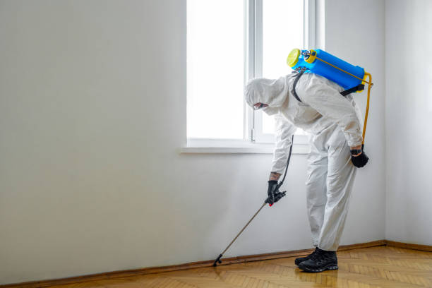 Best Mosquito Control Services  in Hodgenville, KY