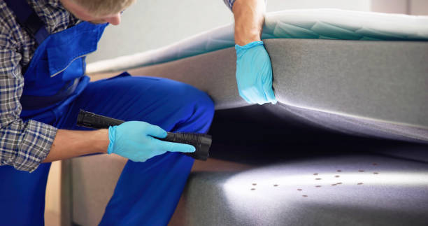 Best Commercial Pest Control Services  in Hodgenville, KY
