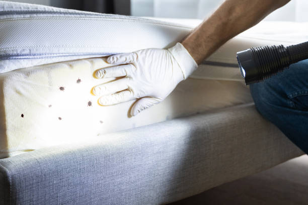 Best Bed Bug Extermination  in Hodgenville, KY