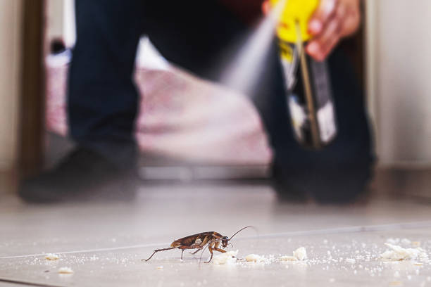 Best Pest Removal Services  in Hodgenville, KY