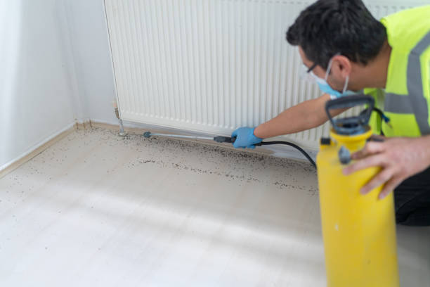 Best Local Pest Control Services  in Hodgenville, KY